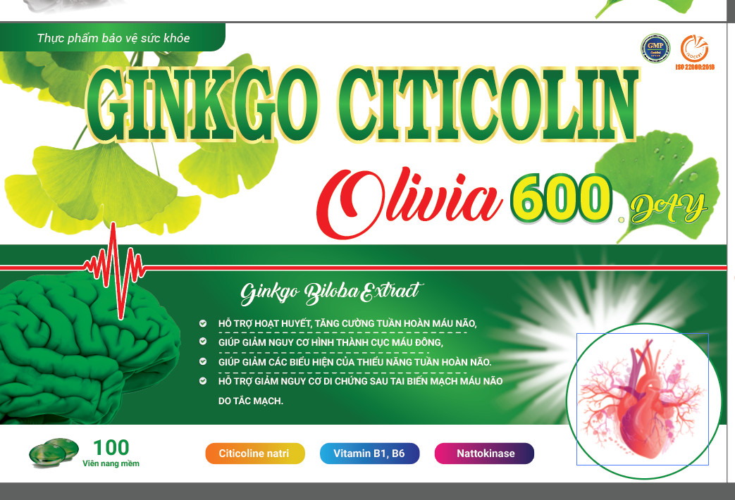 GINKO CITICOLIN 600 DAY