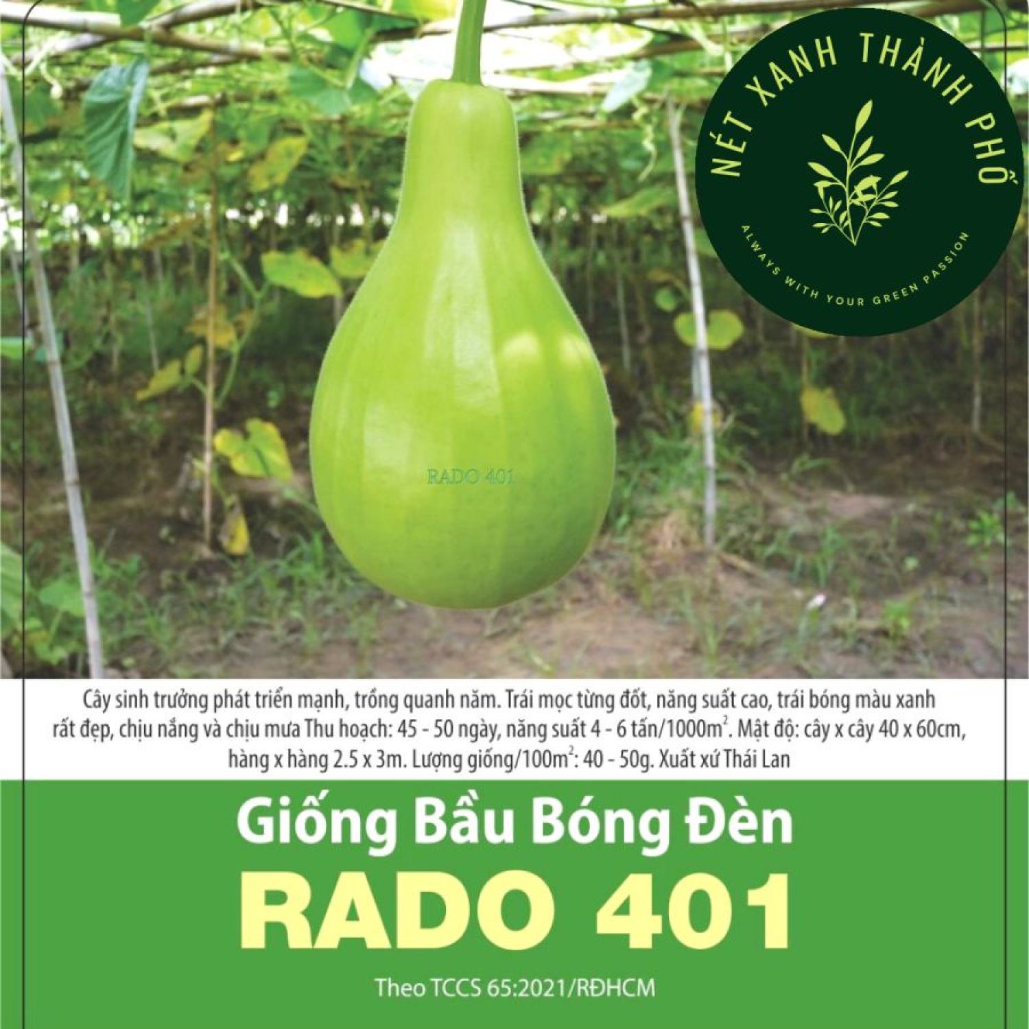Hạt giống Bầu Bóng Đèn, trái đẹp, năng suất cao, 1gr
