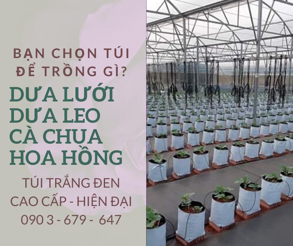 Túi trồng 2 mặt trắng đen dành cho dưa lưới, dưa leo cà chua, chanh dây.