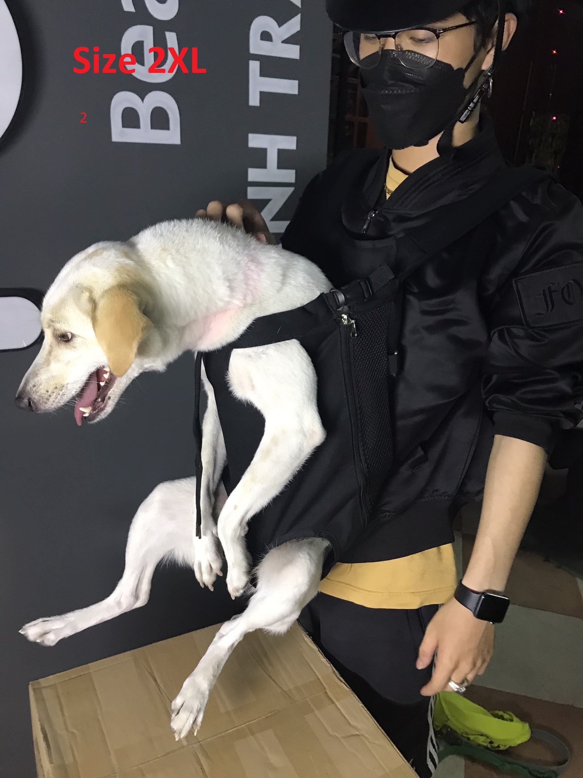 Địu Thú Cưng - Địu Chó Mèo Đủ màu (Tự Chọn). Dùng cho các chuyến đi du lịch