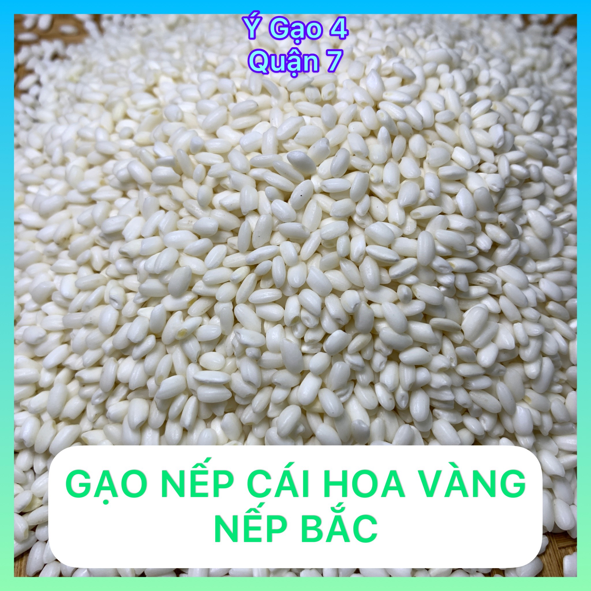 Gạo Nếp Cái Hoa Vàng - Nếp Hà Nội - Túi hút chân không 1kg - Đặc sản miền Bắc hạt to tròn đều, thơm lừng dẻo ngọt - Nấu xôi, nấu chè, làm bánh chưng ngày tết
