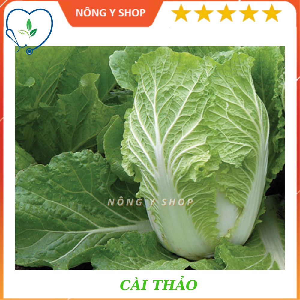 Túi zip 40 hạt - gói 0.5g - hạt giống cải thảo rạng đông rambo