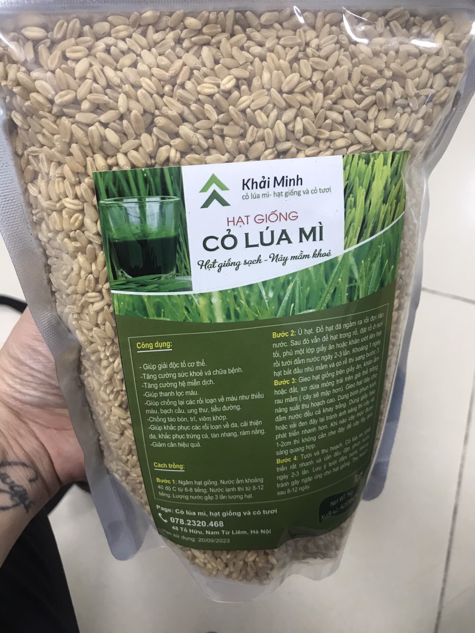 Hạt giống cỏ lúa mì hữu cơ 2 túi mỗi túi 1kg combo
