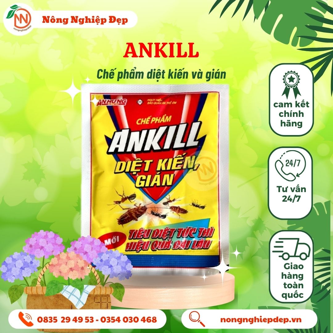 Thuốc diệt kiến sinh học- Thuốc diệt gián Ankill