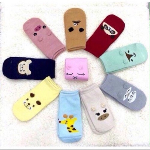 Combo 5 đôi tất PONYKID cao cổ chống trơn trượt cho bé
