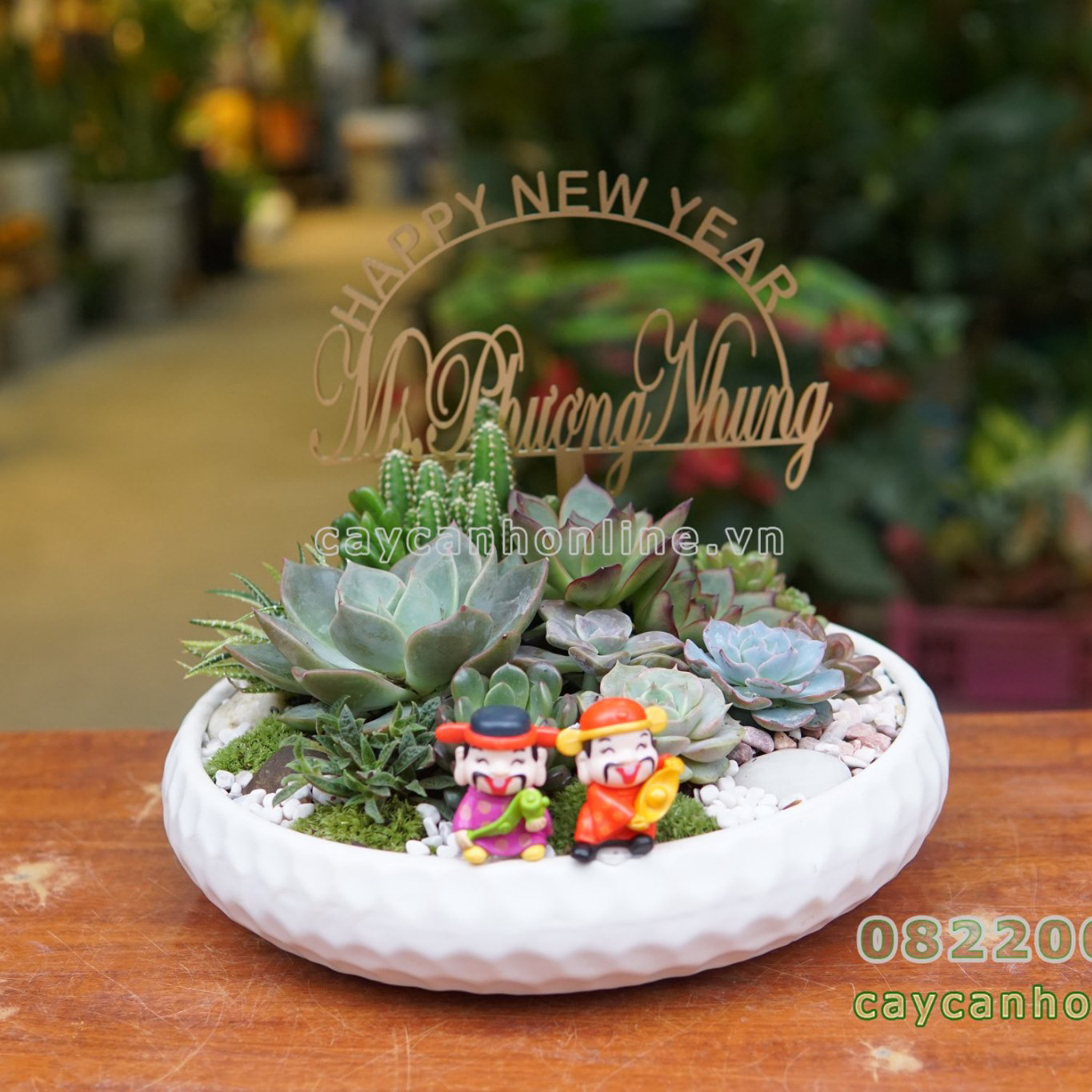 Chậu ang mắt na trồng tiểu cảnh sen đá xương rồng đẹp
