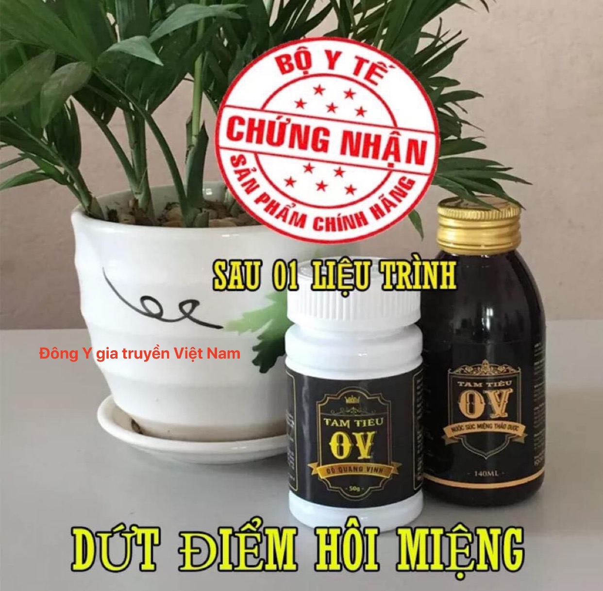 Combo liều cao chưa hôi miệng lâu năm- Tam tiêu OV ( 1 lọ nước + 1 lọ viên)
