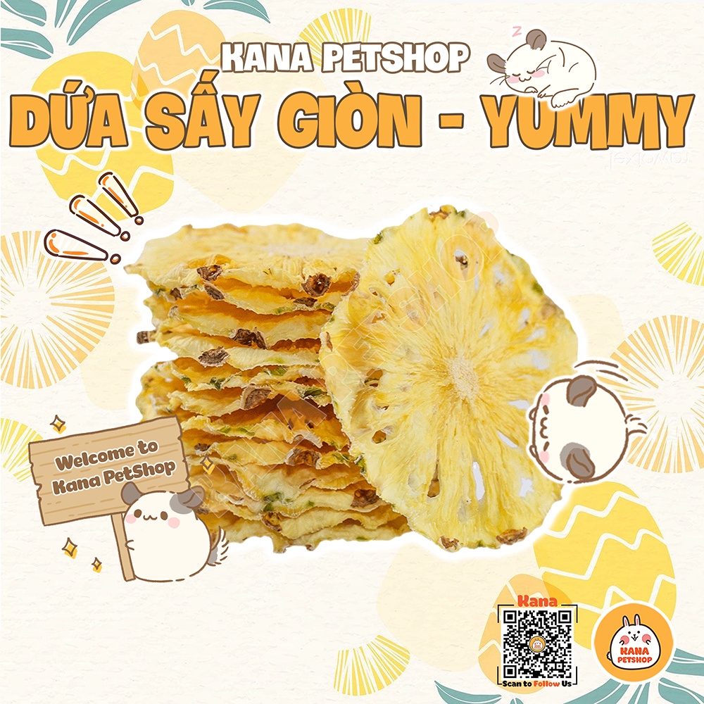 Dứa Sấy Giòn 🐹FREESHIP🐹 20G Thơm Sấy Lạnh Thức Ăn Thải Búi Lông cho Thỏ, Bọ, Hamster, Sóc ...