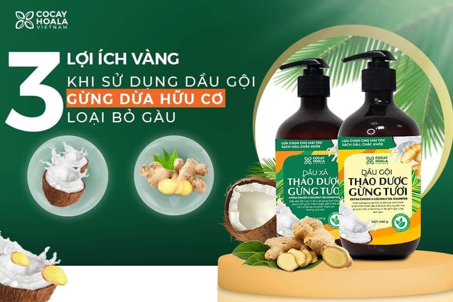 Dầu gội thảo dược Gừng Dừa, chai gội 440g.