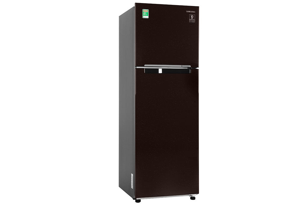 Tủ lạnh samsung 256 lít 2 cửa inverter rt25m4032by/sv