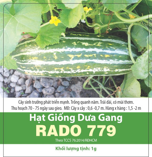2 Gói Hạt Giống Dưa Gang (90-100 hạt)