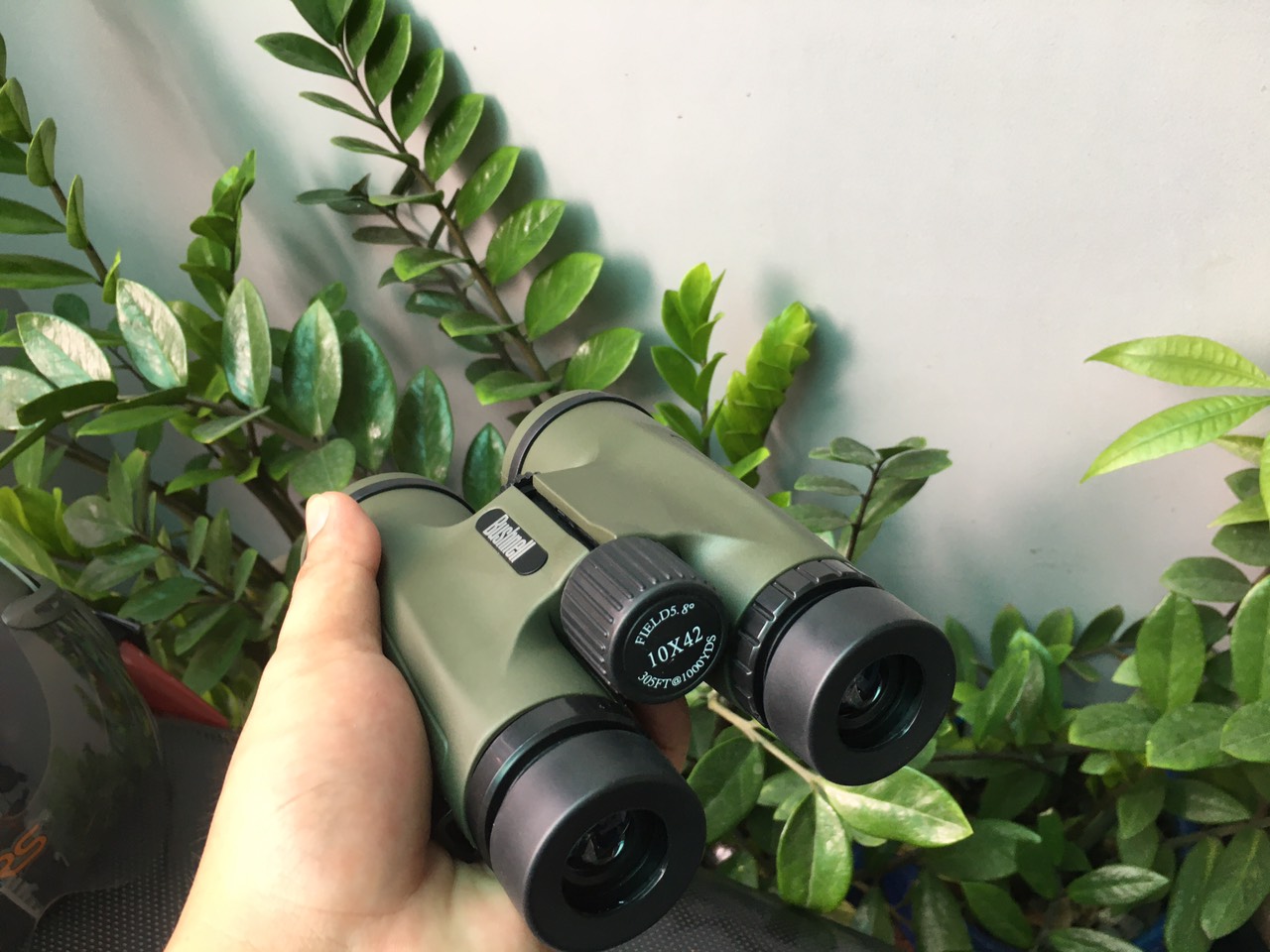 Ống nhòm săn ong bushnell 10x42 xanh siêu nét