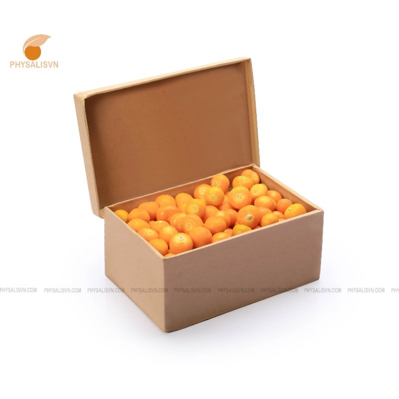 Trái tầm bóp-thù lù nam mỹ 1000g