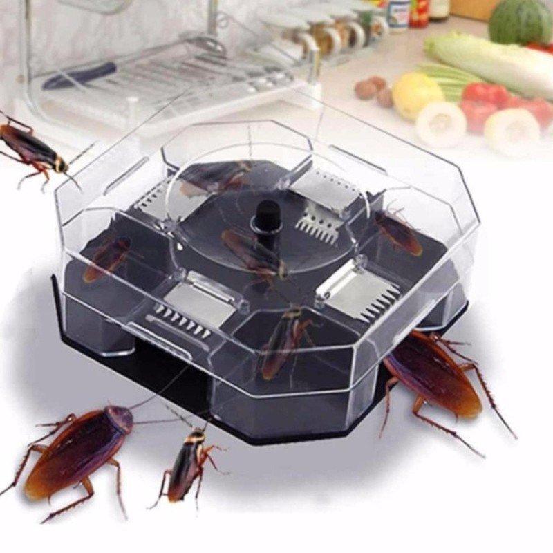 [HCM]dụng cụ bắt gián