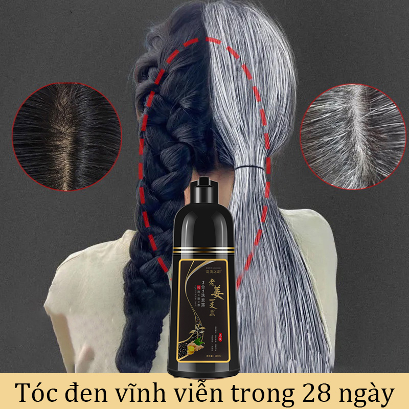 Dầu gội gừng tươi đen tóc dầu gội đen tóc 500ml vô hại dịu nhẹ không gây kích ứng đen tóc dầu xả đen tóc tự nhiên