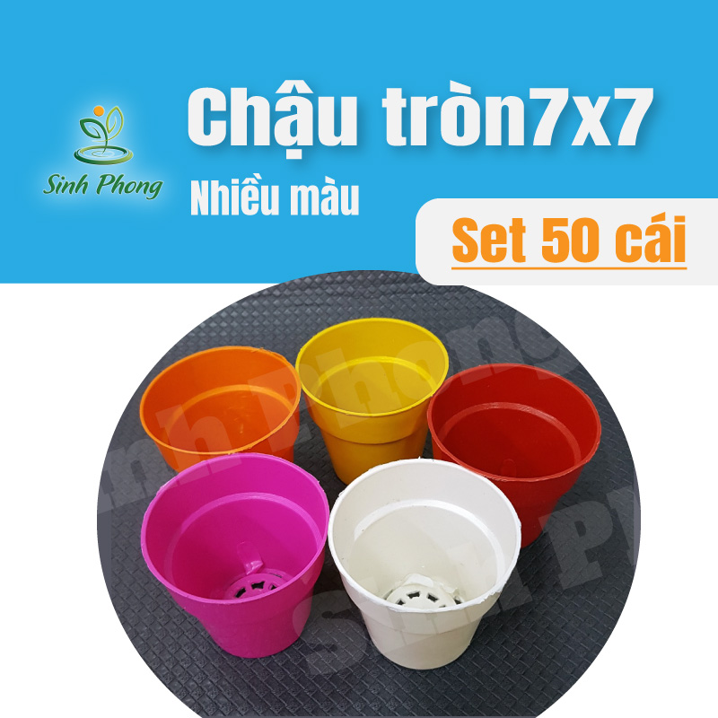 [HCM]Chậu Nhựa Tròn 7X7 nhiều màu - Set 50 Cái  - Sản phẩm chất lượng - gian hàng uy tín - giá luôn tốt - mua ngay kẻo lỡ !