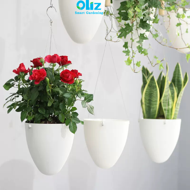 Chậu cây treo ban công Oliz D09. Chậu cây thông minh, chậu trồng cây tự tưới nước
