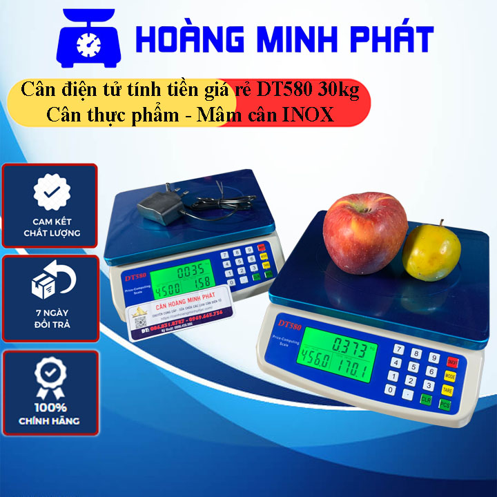 Cân điện tử 30kg tính tiền dt580 mâm cân inox 304 - cân thực phẩm tính giá tiền hàng