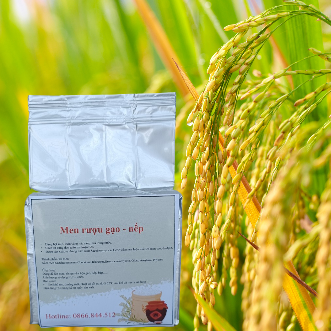 Men rượu dùng cho rượu gạo, rượu nếp gói 500g