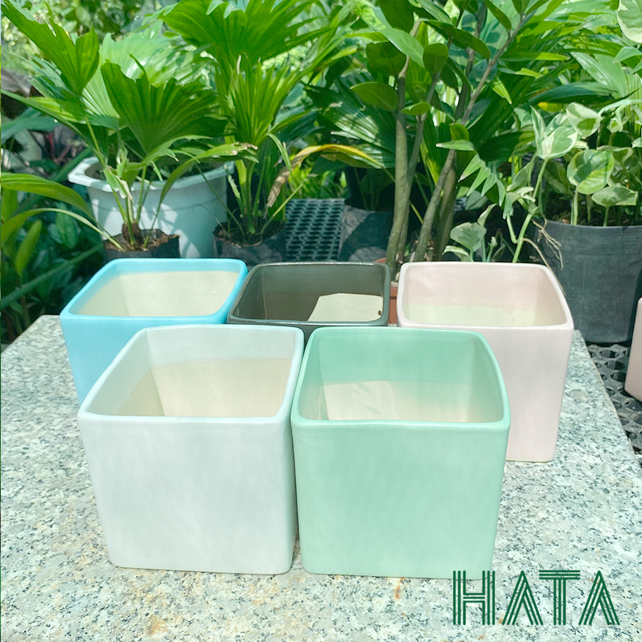 Chậu gốm sứ vuông thẳng nhiều màu sắc. Hatagarden