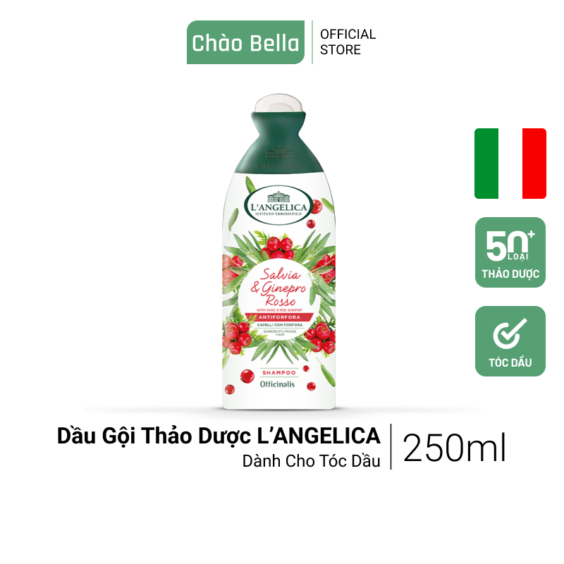 Dầu Gội Thảo Dược Cao Cấp Nhập Khẩu Ý L'angelica (Cây Xô Thơm & Bách Xù Đỏ - Tóc Dầu & Dễ Bị Gàu) | Sạch Gàu & Bã Nhờn, Ngăn Bết Dính, Tóc Bóng Mượt, Lưu Hương Lâu Trên Tóc (250ml)