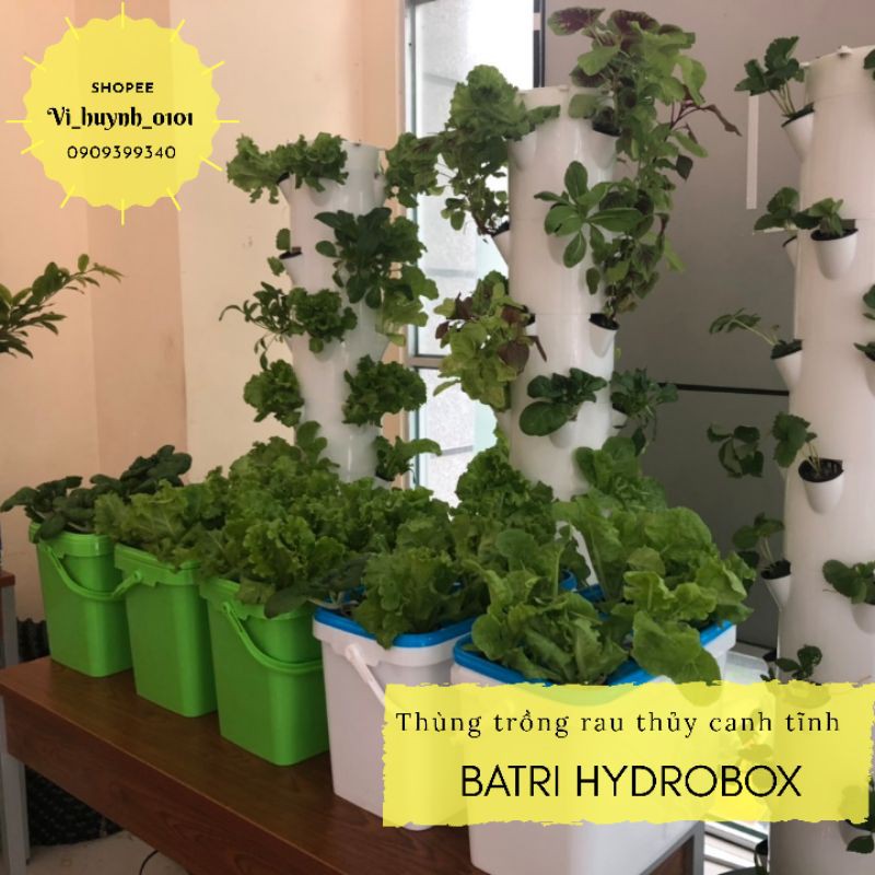 Bộ Thùng Nhựa Trồng Rau Thủy Canh Tĩnh - Combo 5 Lá 5 Quả - Trồng Được Nhiều Loại Rau, Dễ Sử Dụng Và Hiệu Quả Cao
