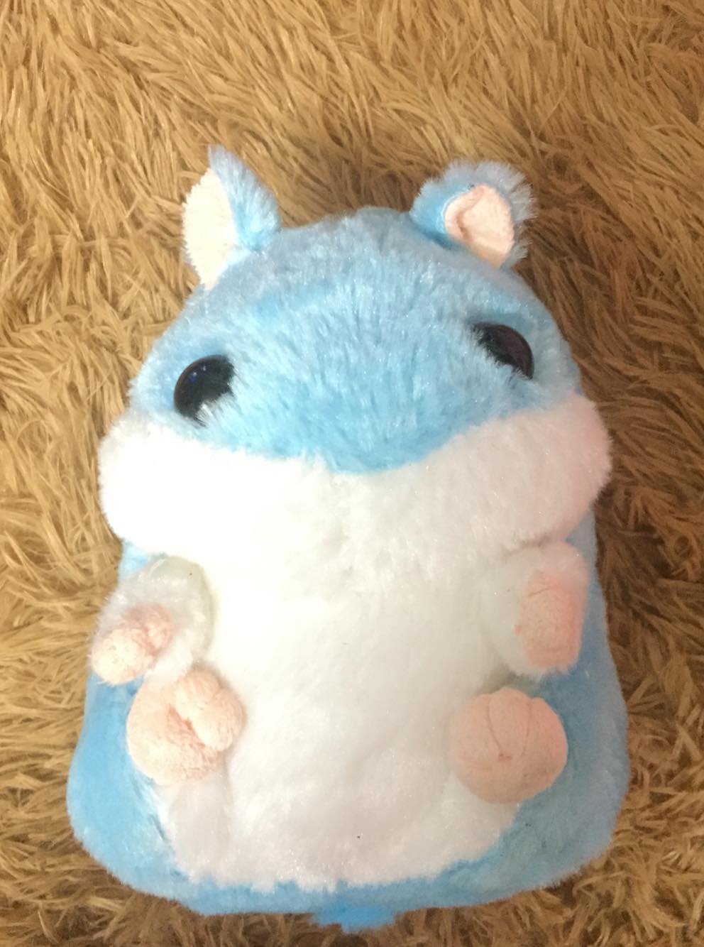 [HCM]Gấu bông chuột lang hamster dễ thương