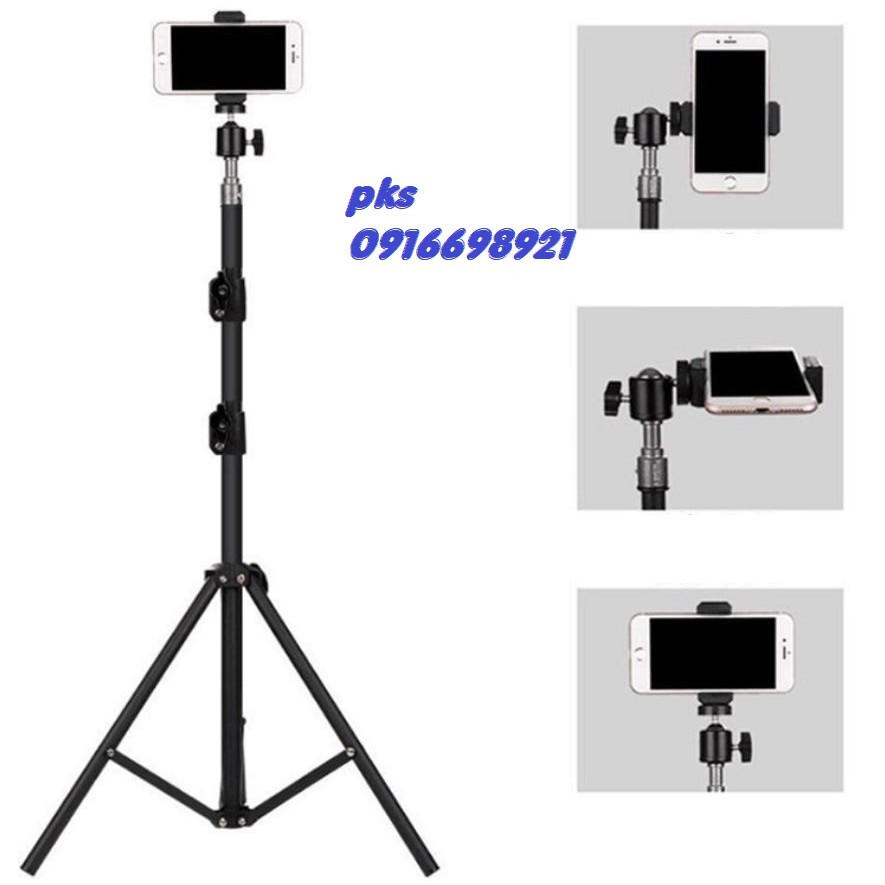 Cây quay Tik Tok Livestream Chân Đứng 2M Bi Cầu Q29 Kẹp Điện Thoại Hạ Thấp Được Xuống 80Cm