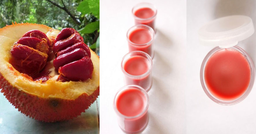 [TẶNG QUÀ] SON DƯỠNG TINH DẦU GẤC, COLAGEN VÀ VITAMIN DƯỠNG ẨM  CHỐNG KHÔ MÔI NỨT NẺ MÔI DO THỜI TIẾT  LOẠI BỎ THÂM MÔI