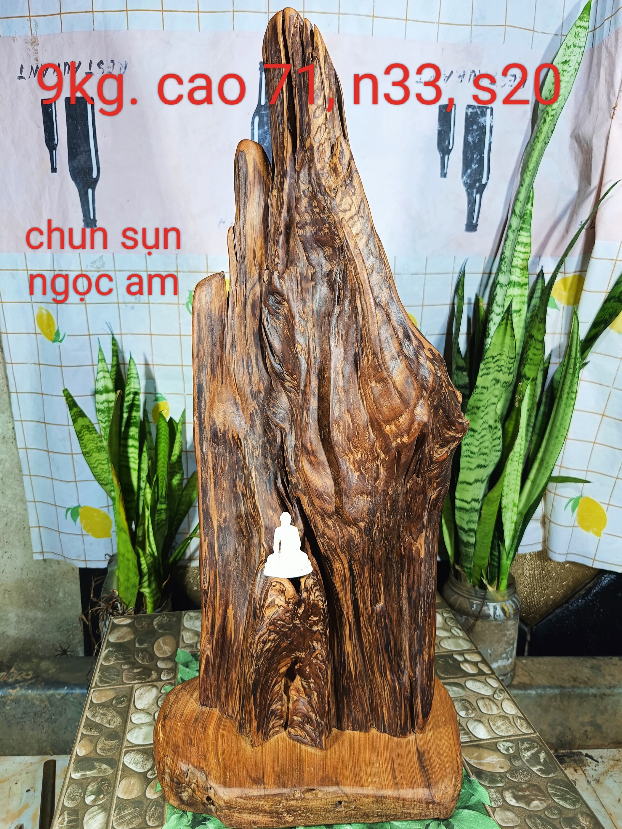 Lũa gỗ thơm ngọc am đỏ hà giang, dáng phiêu