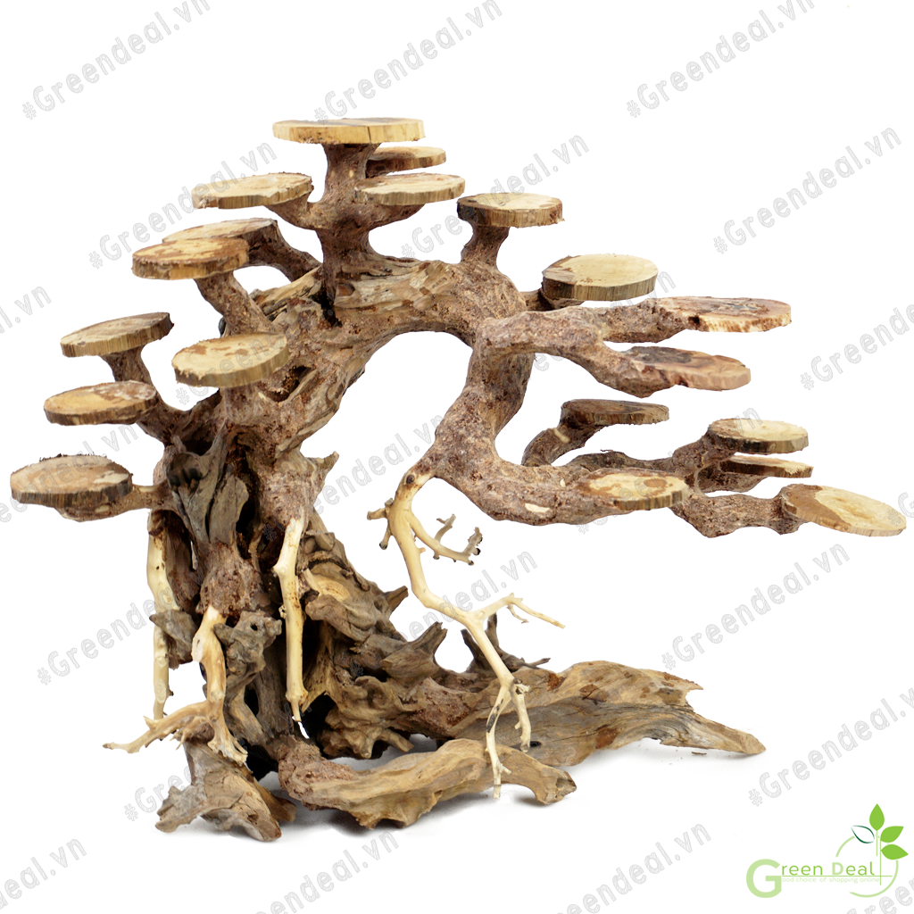 Bonsai Driftwood | Lũa Bonsai trang trí hồ cá thủy sinh