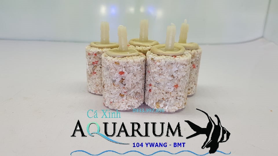 Combo 5 viên sủi oxi lớn siêu bền