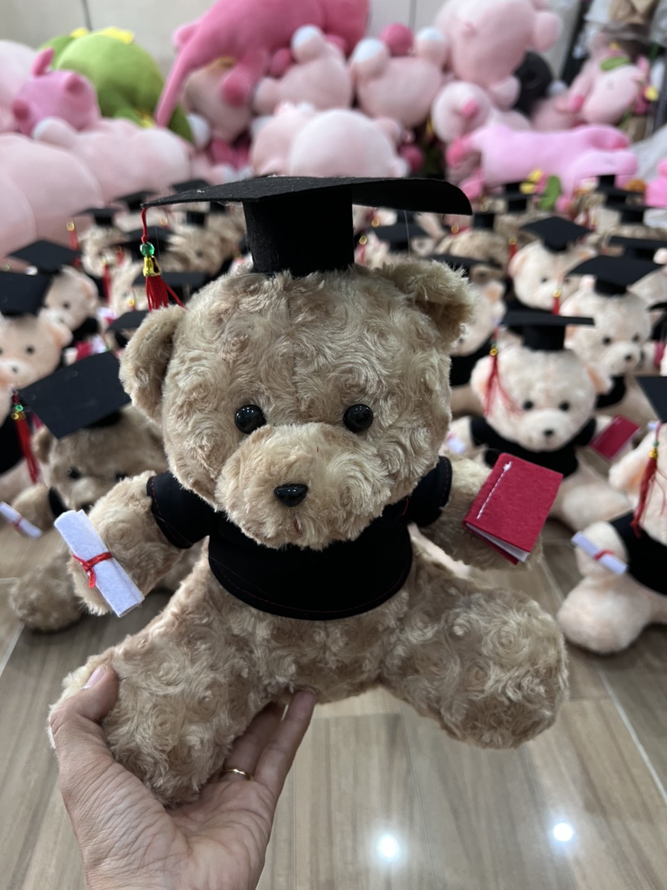 Gấu bông tốt nghiệp 25CM