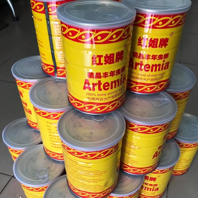 COMBO 50G ARTEMIA LON VÀNG VÀ BỘ ẤP NỞ