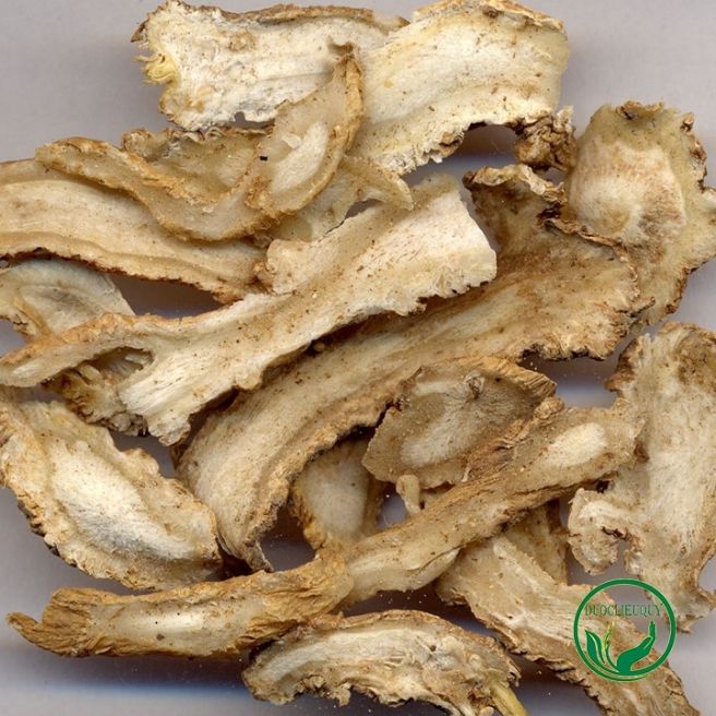 Sỉ toàn quốc 500g sâm quy thái lát