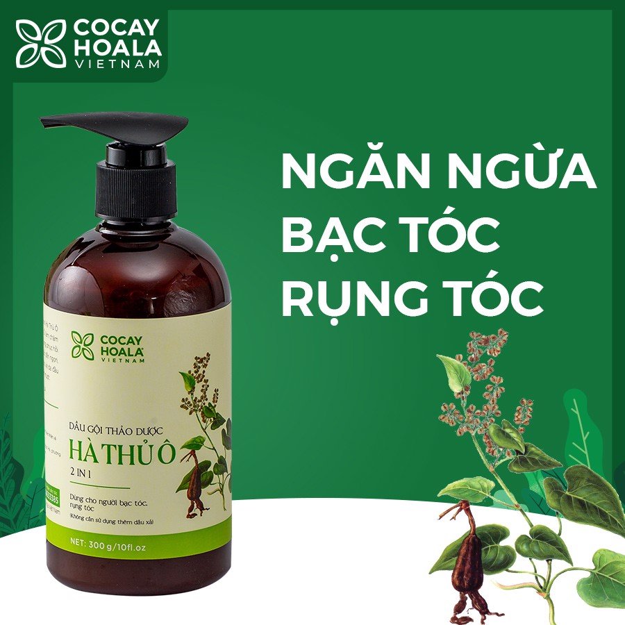 Dầu gội thảo dược hà thủ ô 2in1 giảm rụng tóc bạc tóc cocayhoala 300g-450g