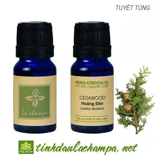 Tinh dầu hoàng đàn cedarwood essential oil la champa - hương thơm gỗ nồng ấm, giúp xoa dịu bất an, khử trùng không gian, chống viêm nhiễm
