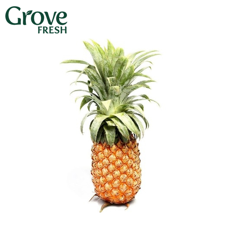 Khóm Long An (Trái 1.1-1.5KG)