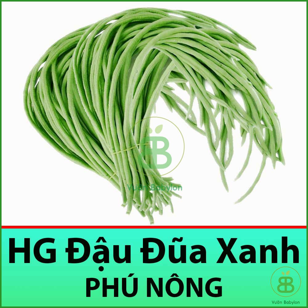 GóI 10GR Hạt Giống Đậu Đũa, Giòn, Ngọt, Dễ Trồng