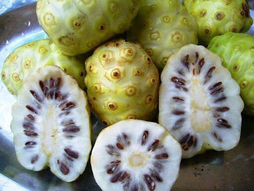 [Chỉ giao khu vực miền Nam] 1 kg trái Nhàu già (trái nở mạng, màu trắng) đóng gói chống sốc, đảm bảo nguyên vẹn, vừa chín tới