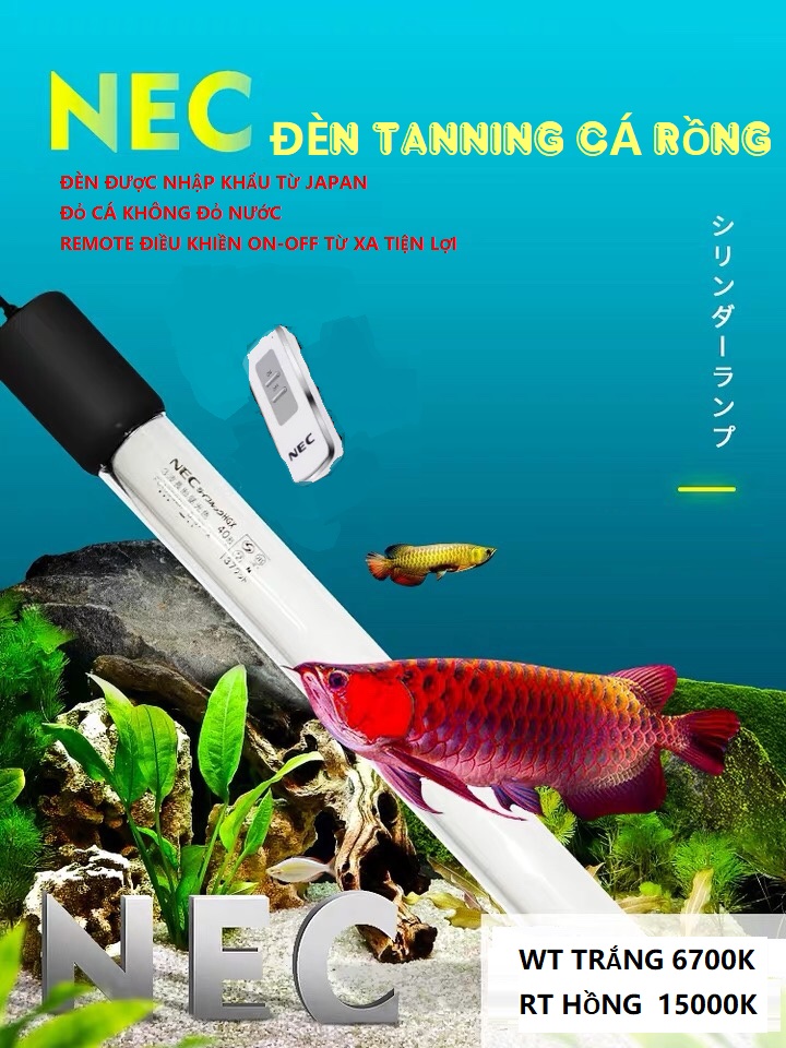 Đèn chìm t8 nec 95cm màu vàng tanning cá rồng