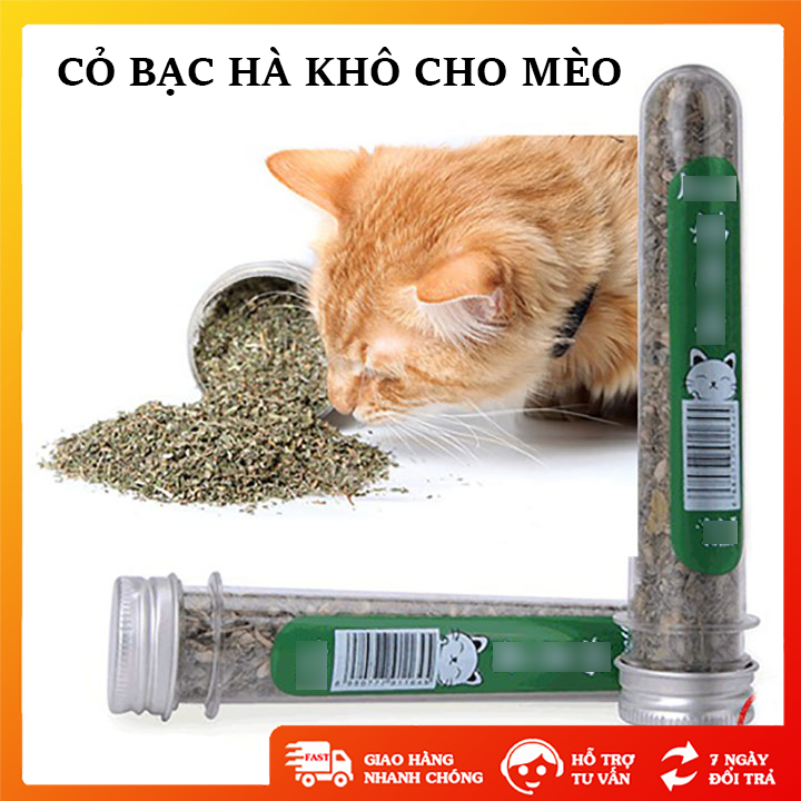 Cỏ bạc hà khô cho bé mèo yêu của bạn dạng ống tiện lợi dung tích 40ml - OT0087