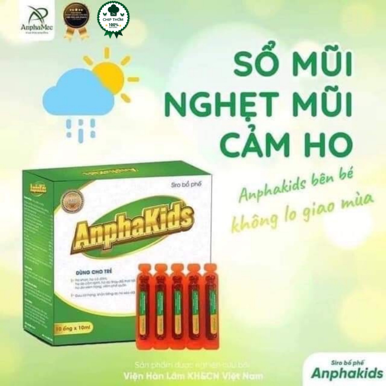 Siro ho cho bé Anphakids Viện Hàn Lâm Khoa Học Công Nghệ hộp 10 ống - Siro bổ phế Anphakids