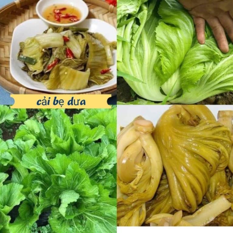 Hạt giống rau Cải bẹ dưa ,cải muối dưa - 20gr/gói-nãy mầm đều