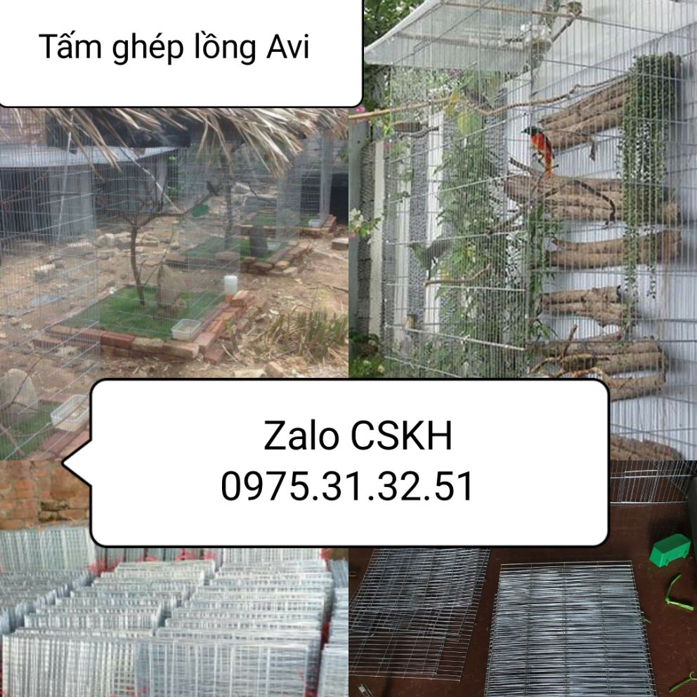 Tấm ghép lồng nuôi chim theo kích thước yêu cầu sinh sản