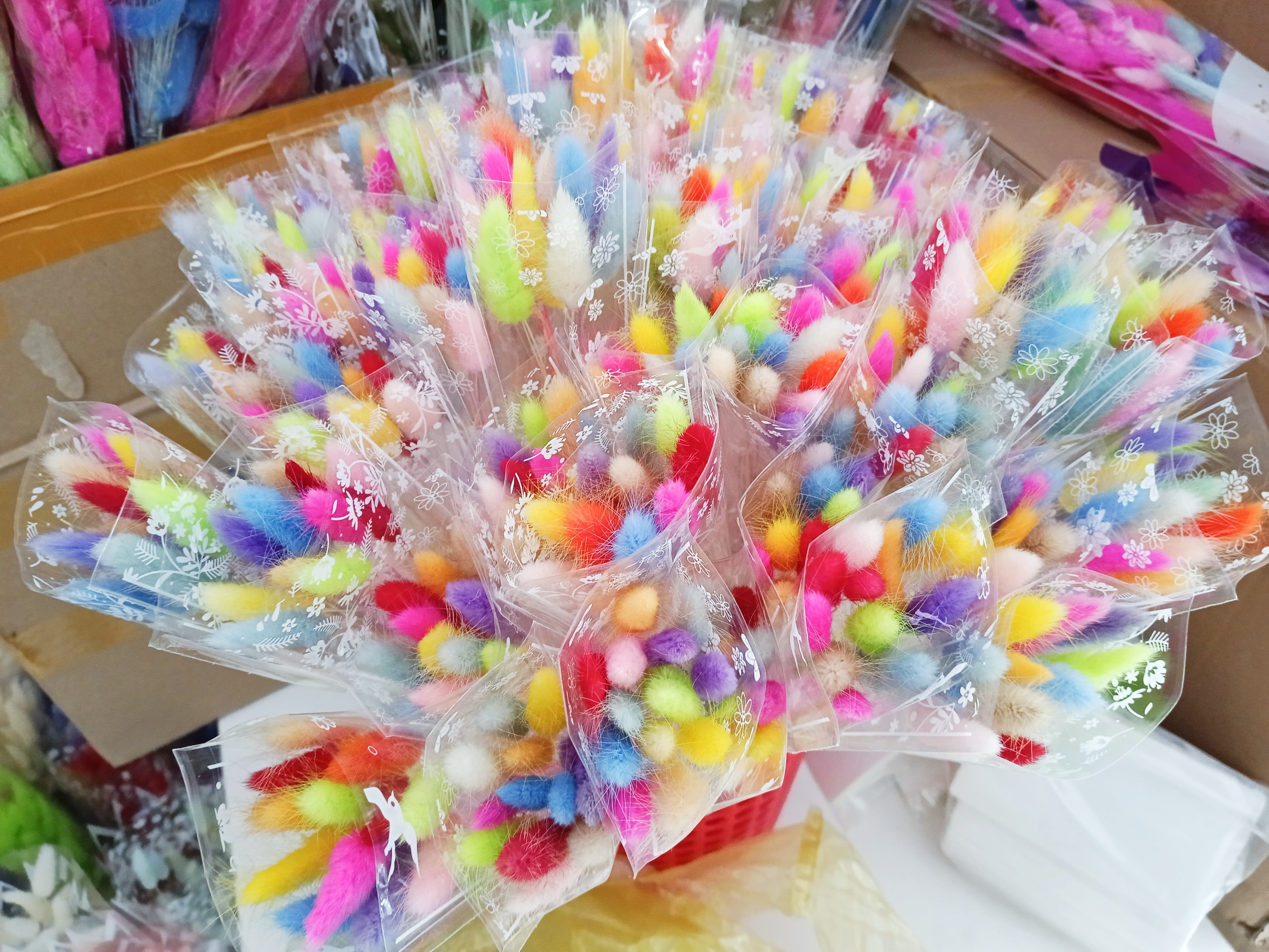 Cỏ đuôi thỏ mix nhiều màu hoa