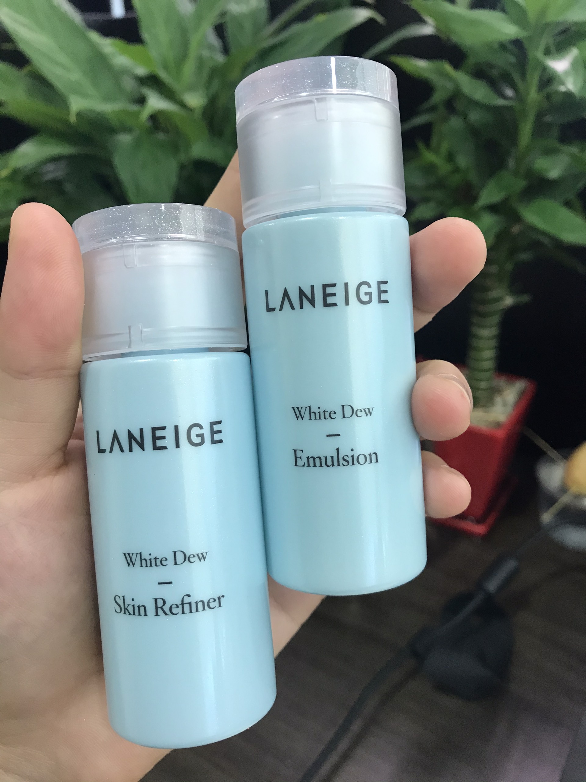 Combo Laneige Toner + sữa dưỡng da White Dew nâng tông trắng da mini 25ml / 50ml