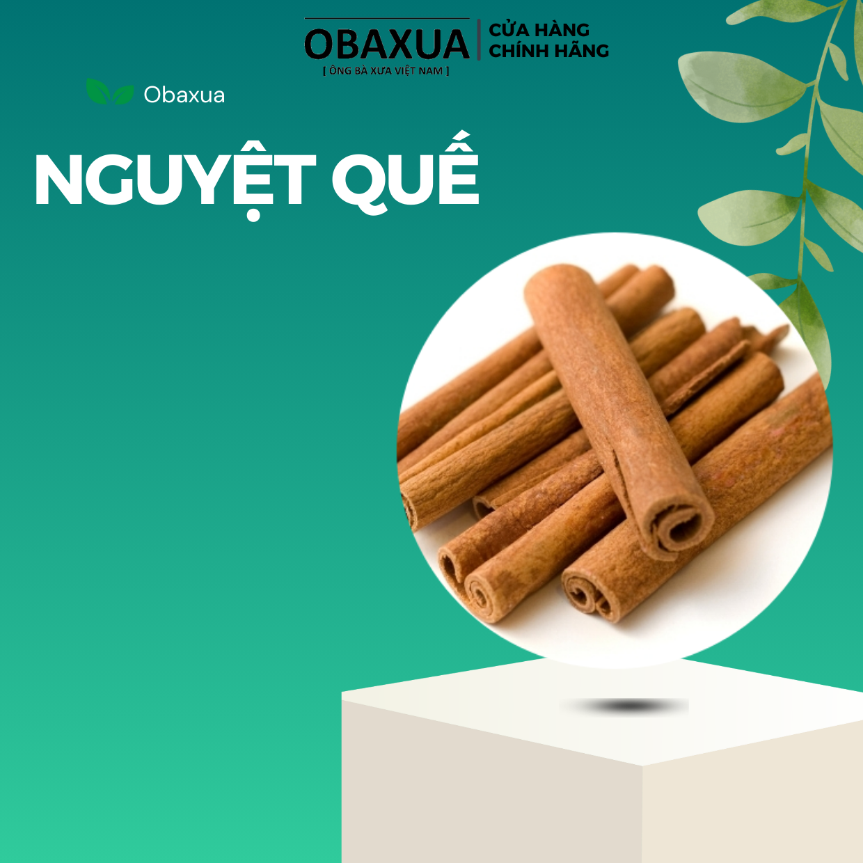 Quế Thanh ( Quế Cây Đã cạo sạch vỏ) - Hàng loại 1 thơm sạch - 50Gr