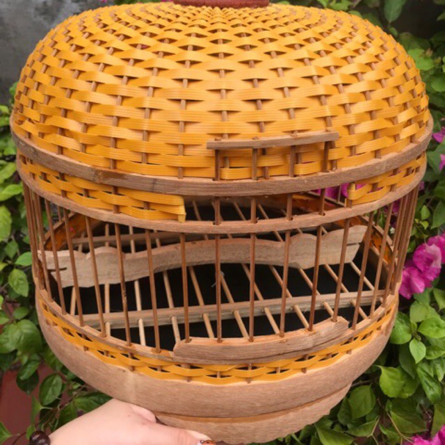 Lồng cu gáy đan
