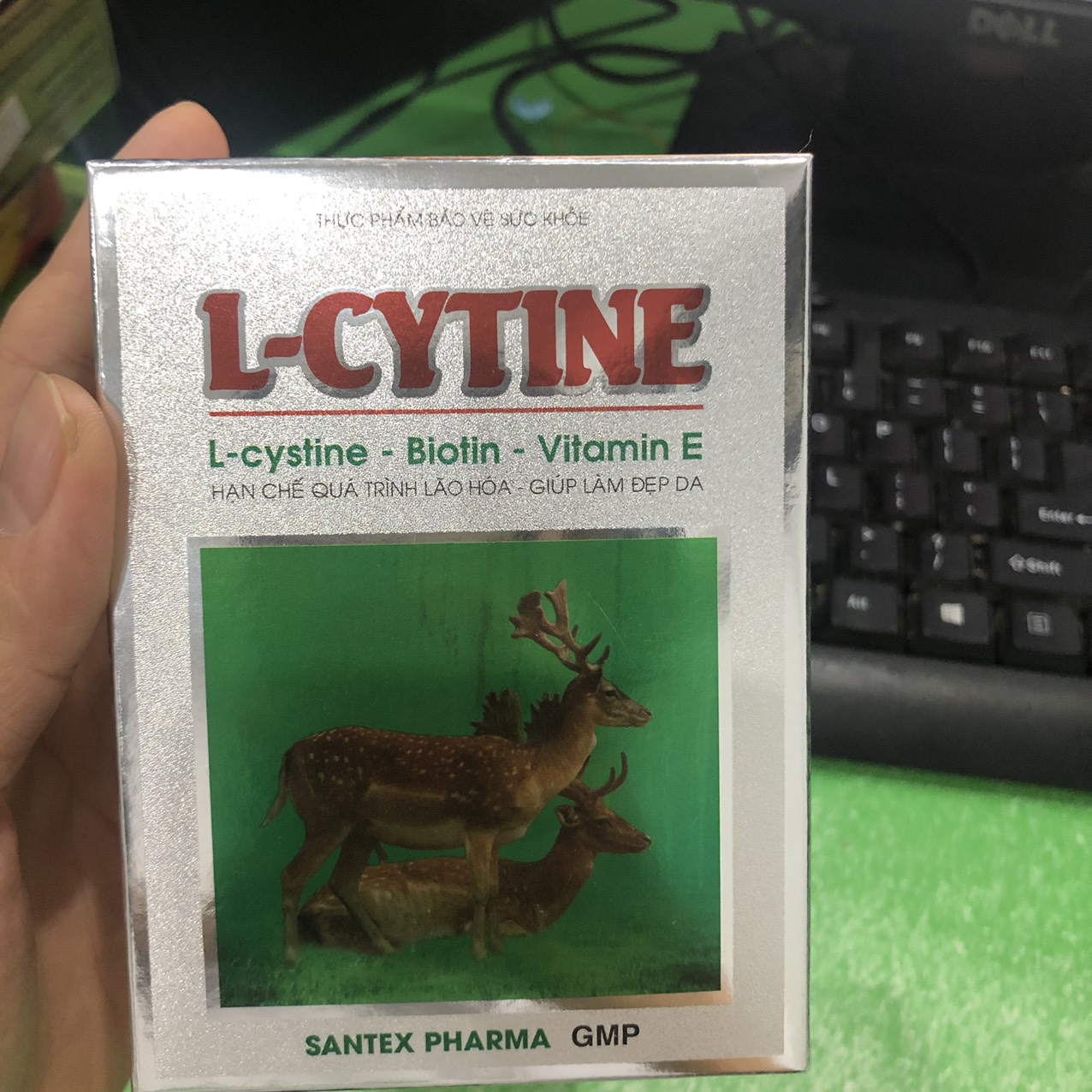 L cytine